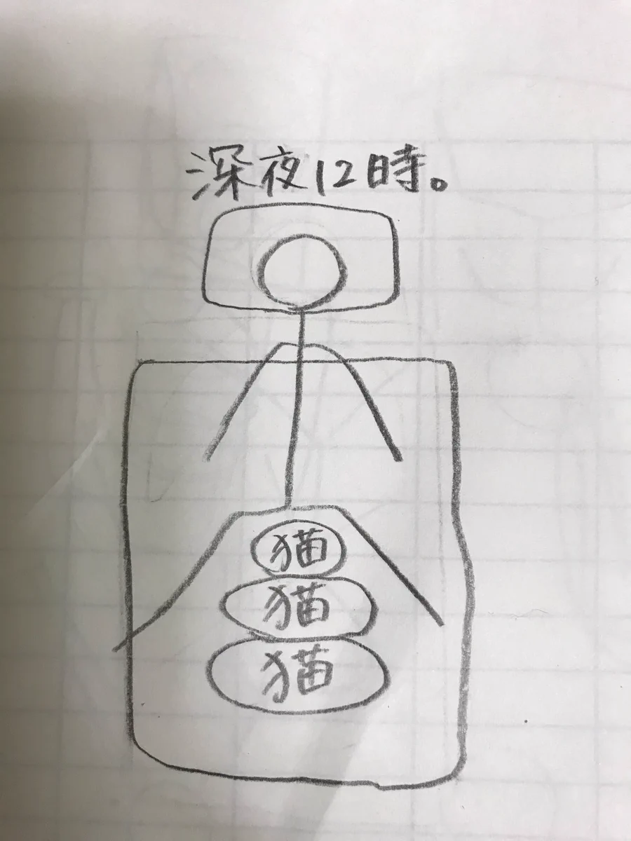 猫を飼っている人あるある？猫が増えるとベッドが狭くなってくるwww