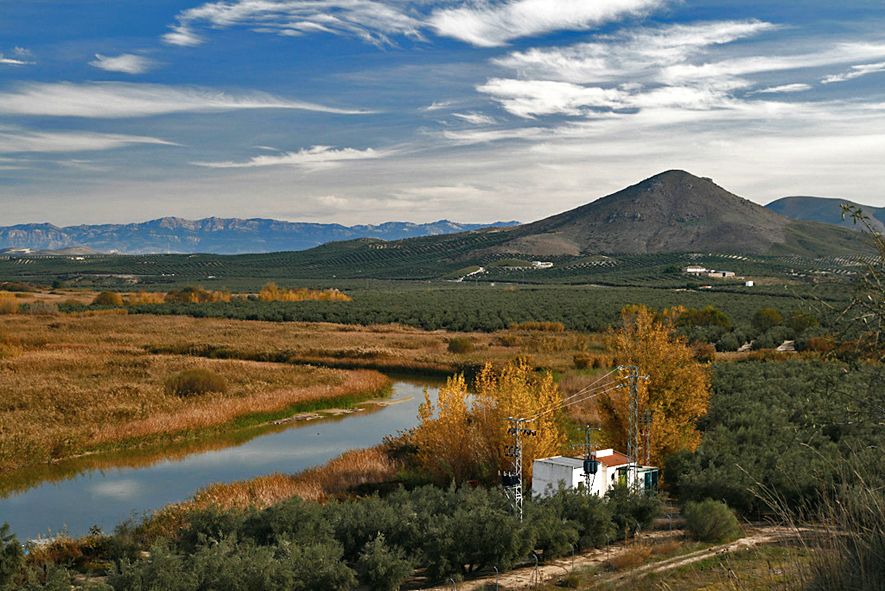 😍 Enamorada de los paisajes del Paraje Natural del Alto #Guadalquivir.
🌲 Una zona para disfrutar de la #naturaleza, realizar #senderismo y sobre todo llenar los pulmones de #aire puro.