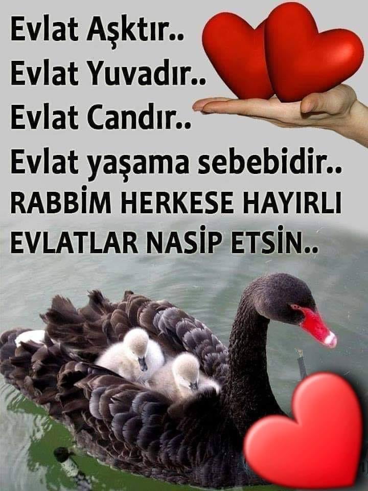 Aminnnnnnnnn