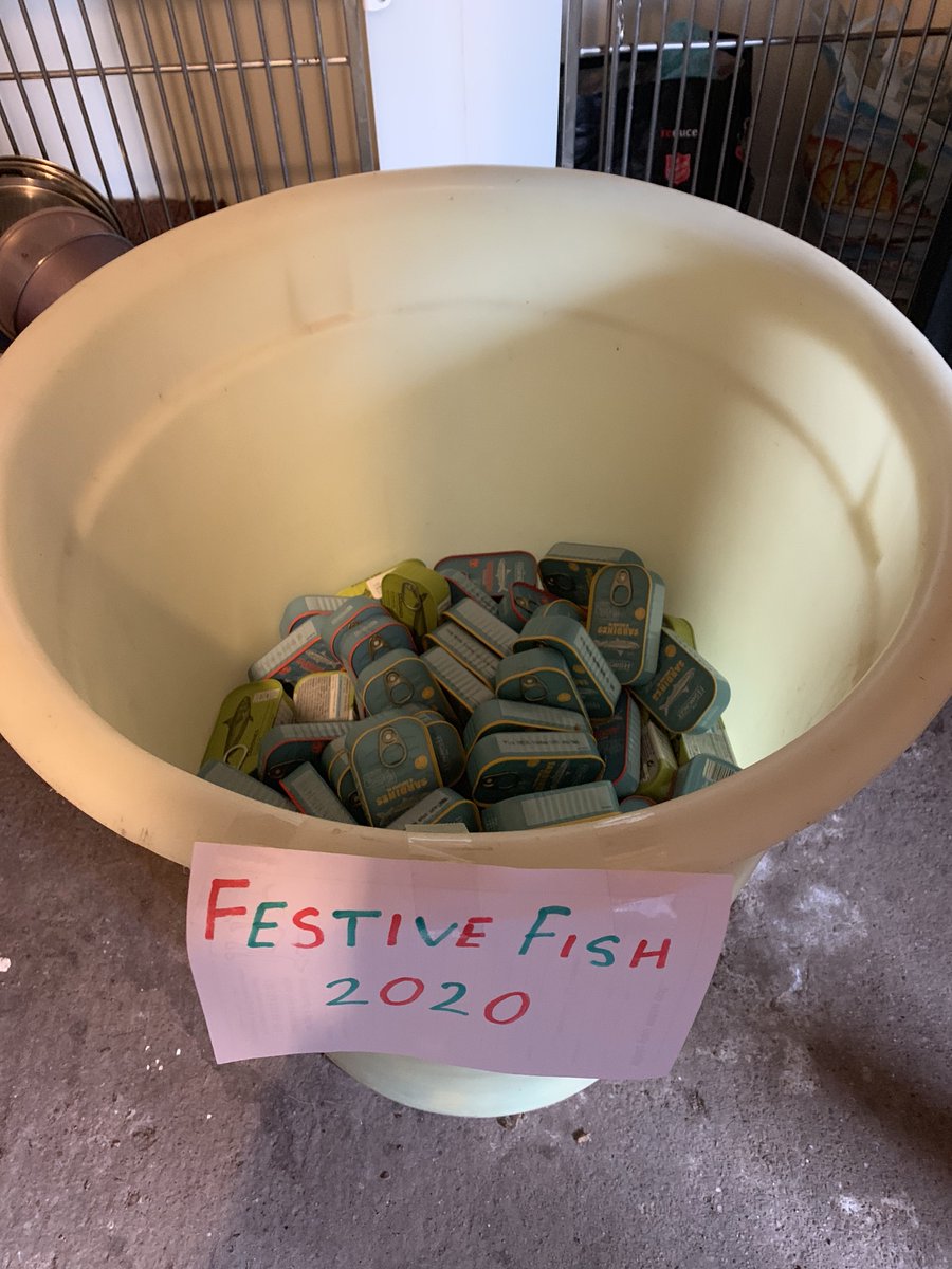 GTWolverhampton's tweet photo. Our #FestiveFish🐟 campaign is getting off to a great start! We already have 229 tins of fish for our lucky hounds. If you would like to make a donation then please pop into the kennels 😁 https://t.co/NyhfBOj6P4