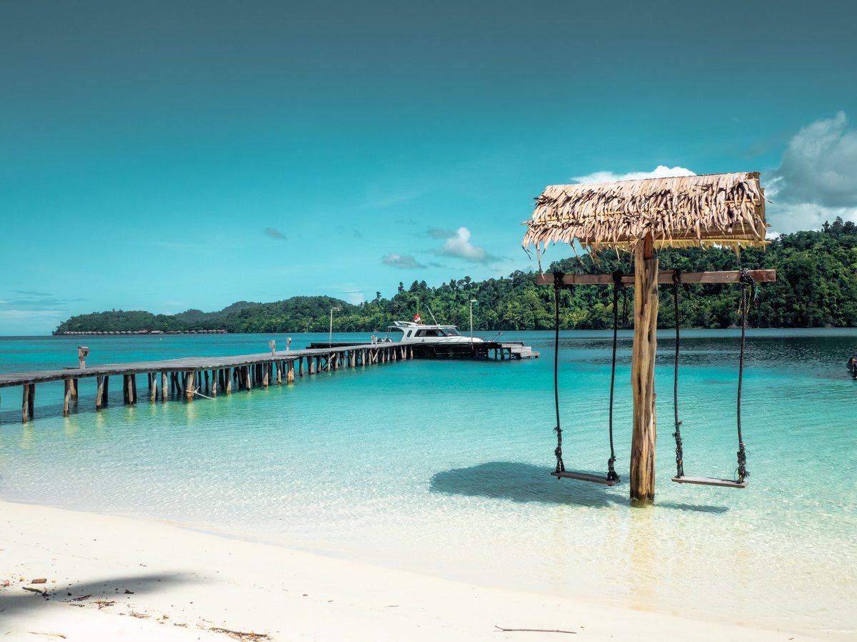 Onedayonetravel's tweet photo. Si vous nous cherchez, on est au paradis des paradis, alias #RajaAmpat 🏝💚
#blogvoyage #indonesie #voyage #onedayonetravel https://t.co/0fJU6v13d1