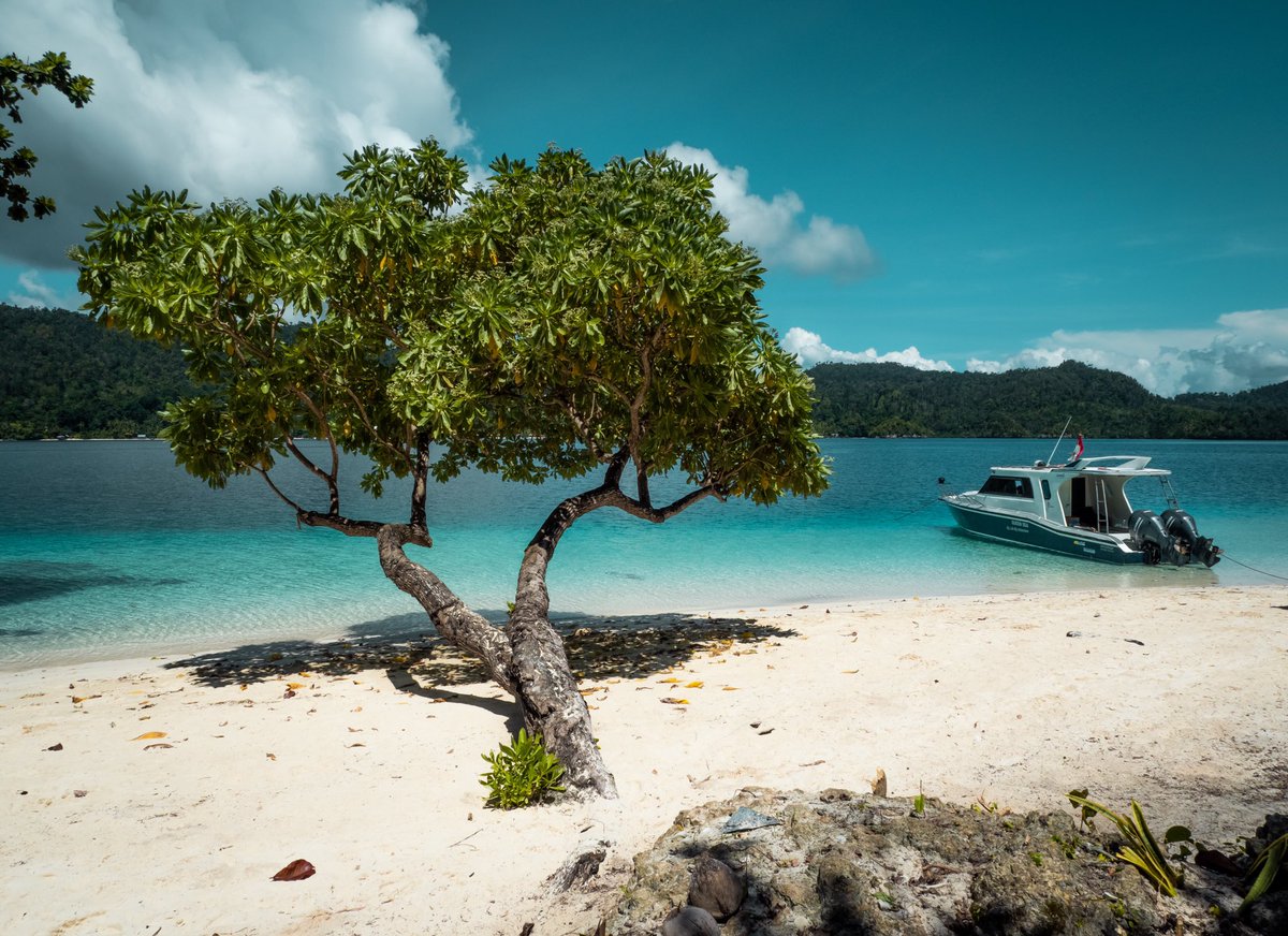 Onedayonetravel's tweet photo. Si vous nous cherchez, on est au paradis des paradis, alias #RajaAmpat 🏝💚
#blogvoyage #indonesie #voyage #onedayonetravel https://t.co/0fJU6v13d1
