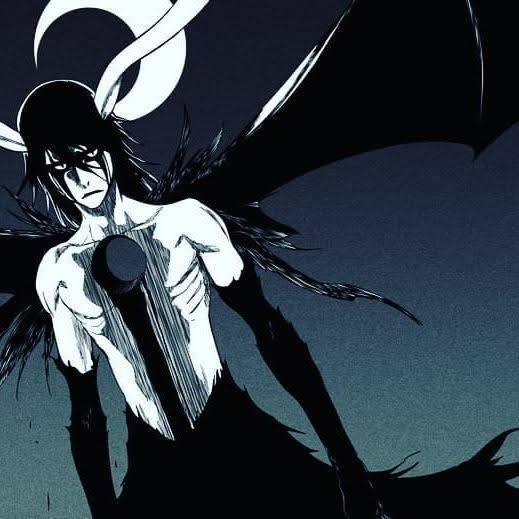 やまねこ君 5歳 レスレクシオン セグンダ エターパ 黒翼大魔 ムルシエラゴ 大空のリングver X Bleachとかrebornみたいにスペイン語やイタリア語を使って形態とか技とか描かれるのすごいかっこいいよなー