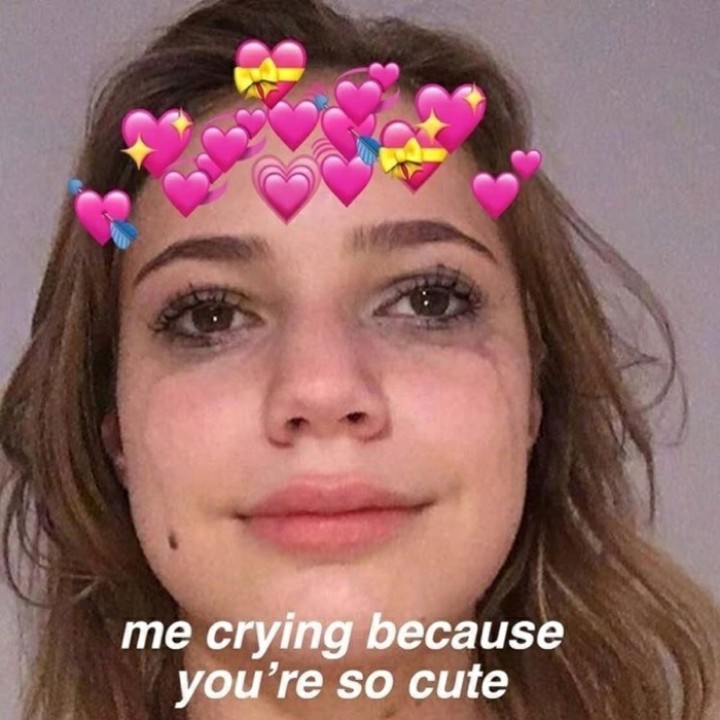 พี่เฟยซากุระก็คือน่ารักมาก😭😭😭😭