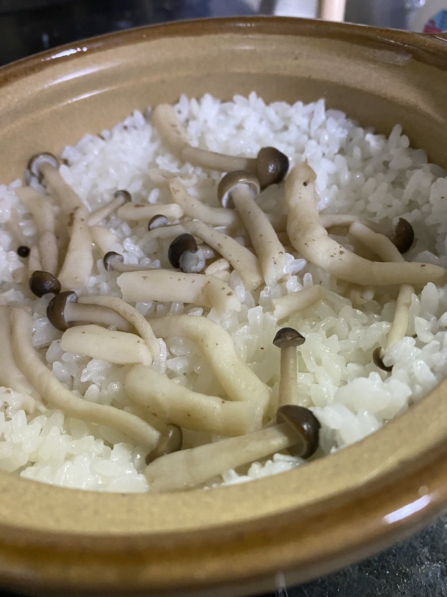 ট ইট র Kijin Muten 土鍋で米炊いた はじめて 土鍋 ご飯 サバイバル