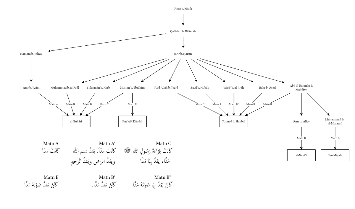 Also the transmission of the Hadith is suspicious. Mapping out the different versions of this Hadith, with the wording a clear pattern emerges. The main wording of this hadith is kāna yamuddu ṣawtahū maddan, which consistently traces back to Jarīr b. Ḥāzim as the common link.