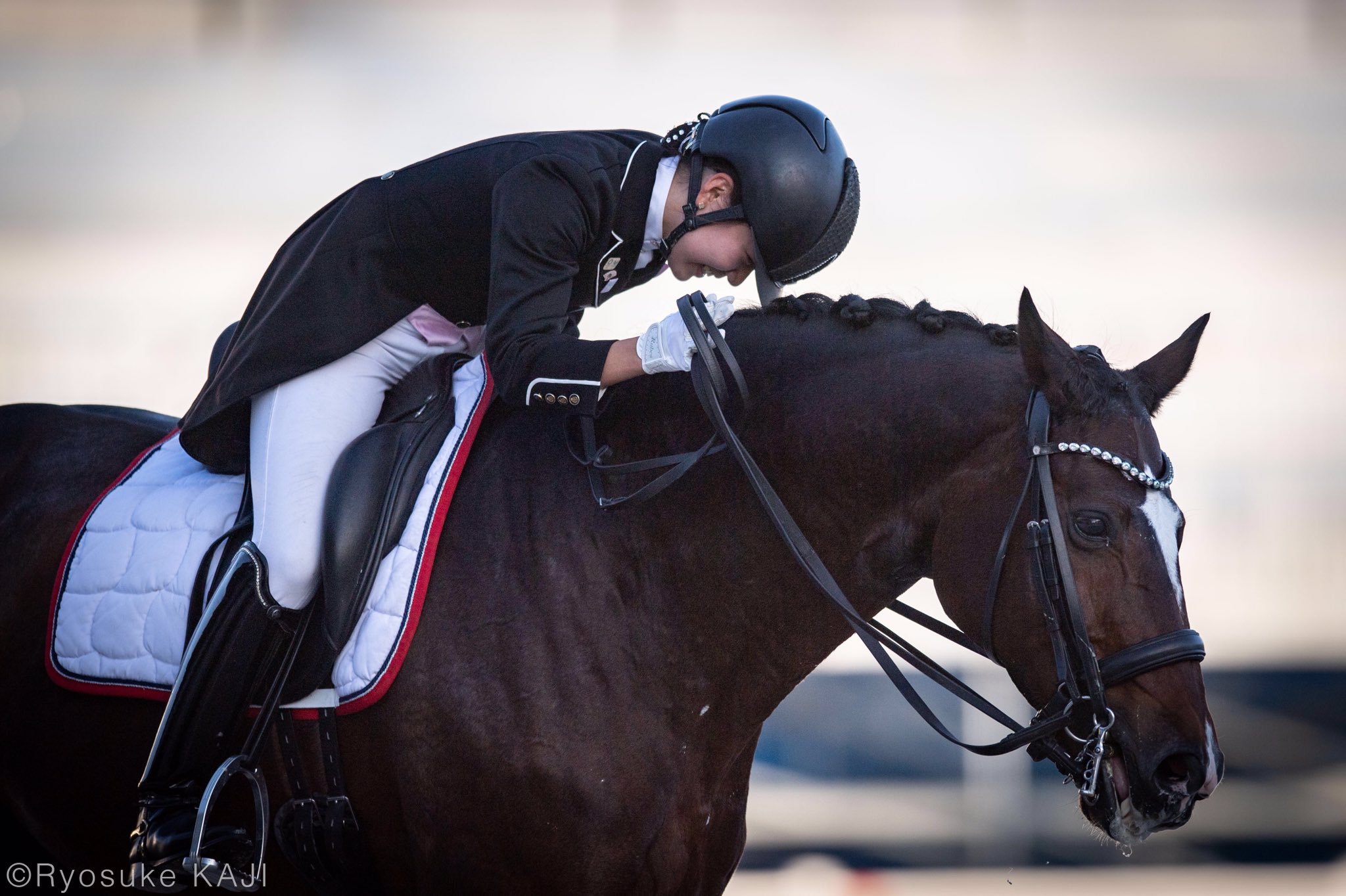 Ryosuke Kaji 馬術フォトグラファー Jra馬事公苑で行われた全日本ジュニア馬場馬術 大会のヤングライダー選手権 Jocジュニアオリンピックカップは 吉田友里恵選手とレミリア スペクトルが予選1位 決勝1位で合計得点率を140 470とし