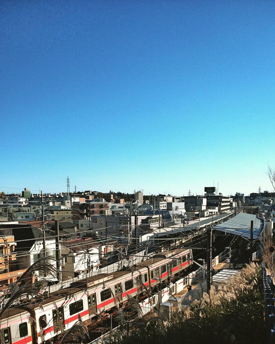 cherry_masaya's tweet photo. #ookurayama #yokohama #photography #japan #ゆっくりしたい #写真好きな人と繫がりたい #instagram #toyokoline #tokyuline #大倉山駅 #autumn #2020
大倉山から。スナップ。 https://t.co/X7BB9Wb3cL