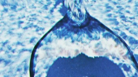 purplesNgreen's tweet photo. TAEHYUNG

-son of Poseidon
-freshman
-major in hunting (weapon: trident/sword)
-minor in visual arts
-could bend water, communicate with animals &amp; could hear anything if he concentrates, cant fly, can turn to merman
-speed: unrivaled in water, very fast in the land https://t.co/LTyVLEEsS5