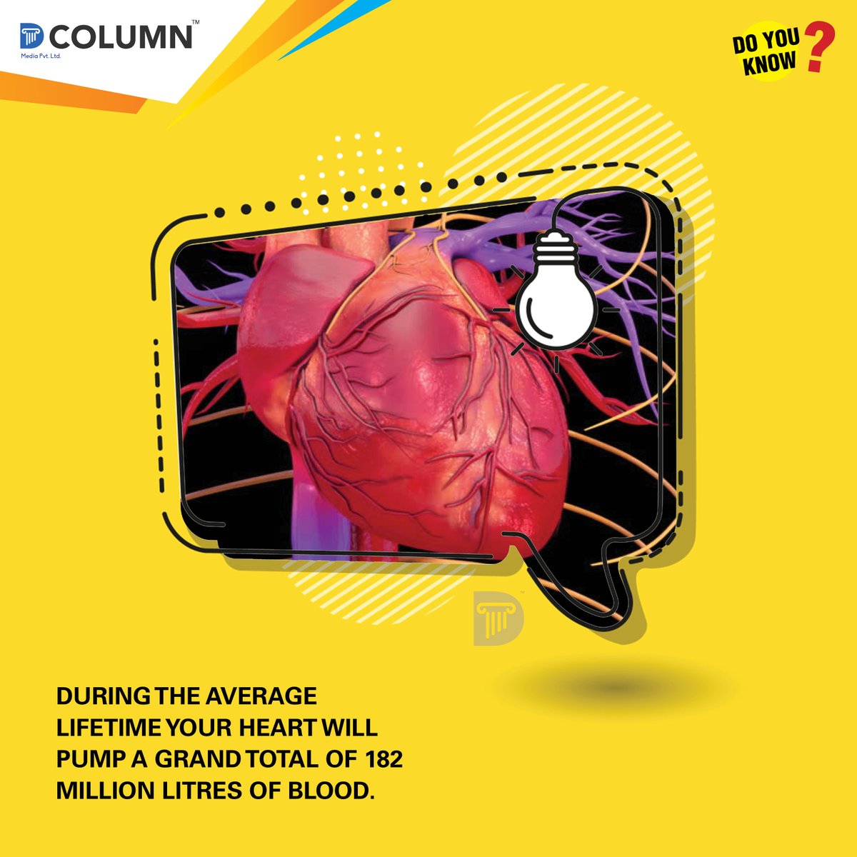 dcolumnnews's tweet photo. How many liters of blood will a human heart pump in a lifetime? Check this out.
#dcolumn #news #doyouknow #generalknowledge #factsforgk #gkfacts #didyouknow #unknownfacts #lifefacts #interestingfacts
#randomfacts #amazingfacts #weirdfacts #sciencefacts #surprisingfacts https://t.co/8ccBcmsxfr