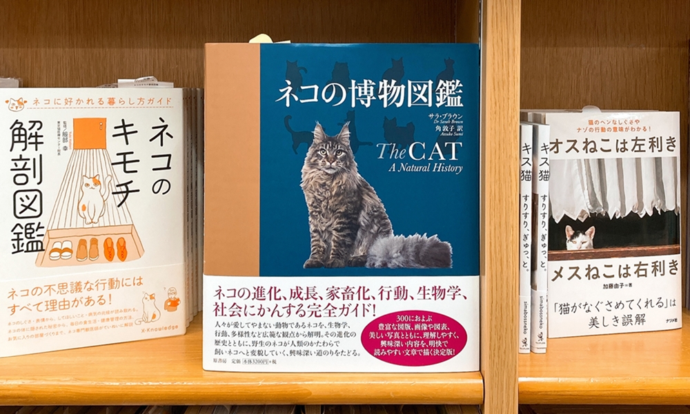 丸善ジュンク堂書店劇場 V Twitter 気になる本 ネコの博物図鑑 サラ ブラウン T Co Uhz5bq2rmo ネコの進化 成長 家畜化 行動 生物学 社会に関する完全ガイド 人々が愛してやまない動物であるネコを広範な観点から解説し 野生のネコが人類の 丸善ジュンク堂書店劇場 V Twitter 気になる本 ネコの博物図鑑 サラ ブラウン T Co Uhz5bq2rmo ネコの進化 成長 家畜化 行動 生物学 社会に関する完全ガイド 人々が愛してやまない動物であるネコを広範な観点から解説し 野生のネコが人類の