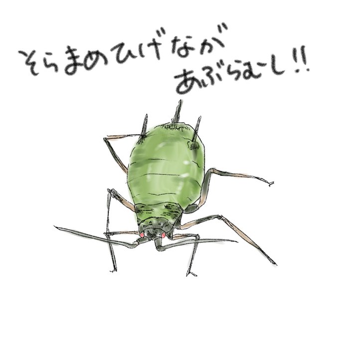 アブラムシのtwitterイラスト検索結果 古い順