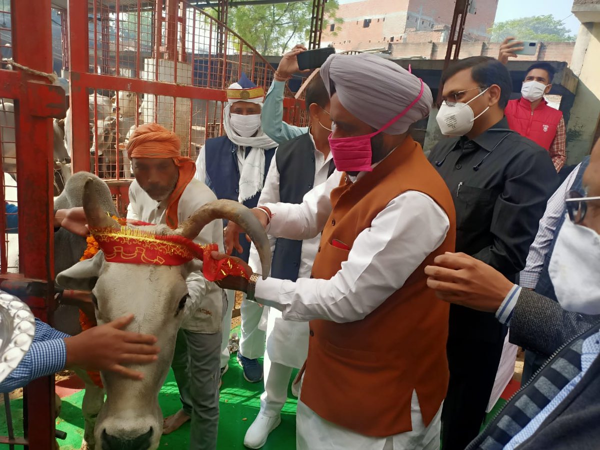 आज #गोपाष्टमी के पावन अवसर पर रामपुर में कोसी मंदिर के पास स्थित गौशाला में जाकर गायों का पूजन कर गुड़ खिलाया।
<a href="/myogiadityanath/">Yogi Adityanath</a> <a href="/BJP4UP/">BJP Uttar Pradesh</a>