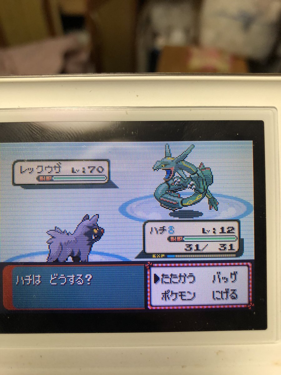 ぶんぶん丸 Fn Bunbun0mon Twitter