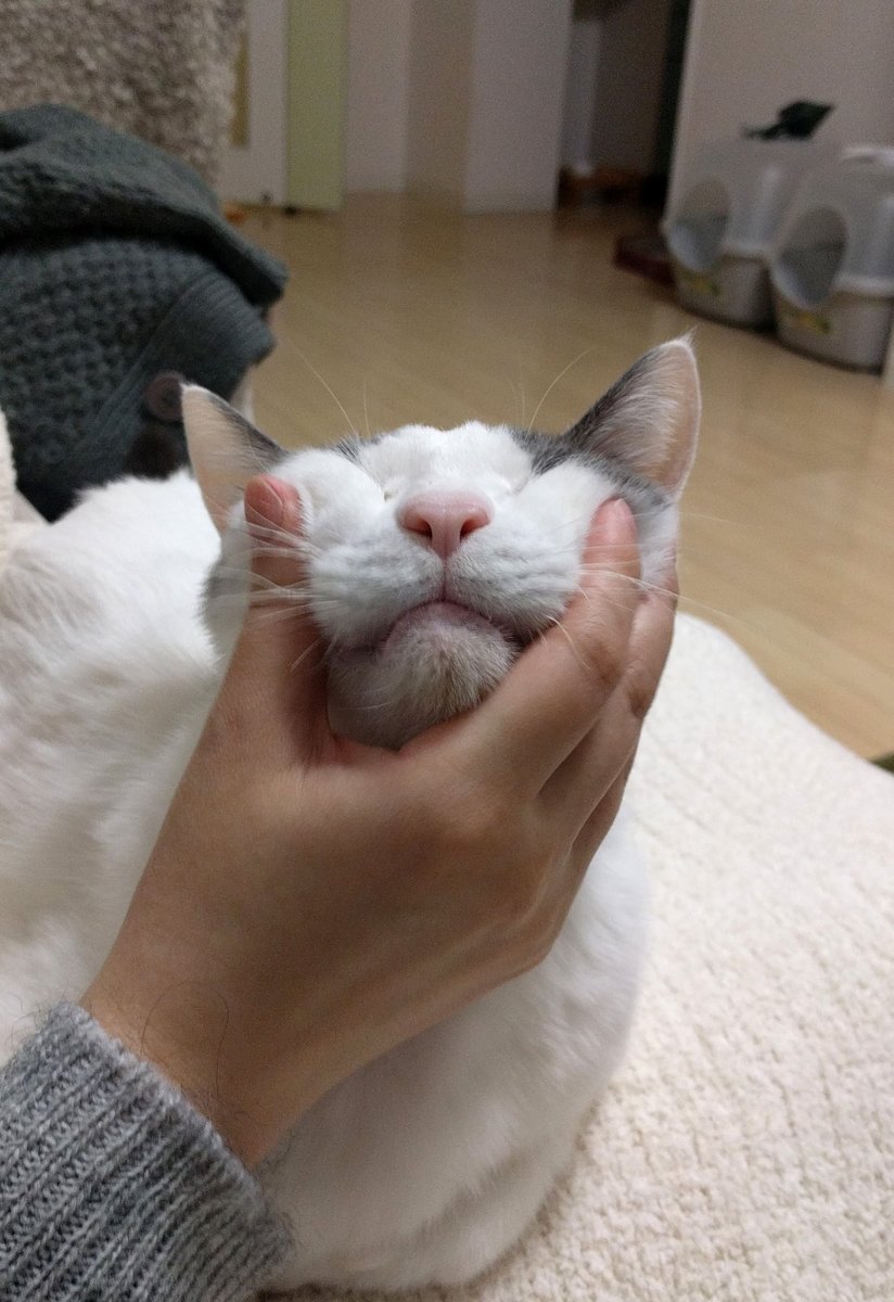 Hanzoは漢字で書くと半蔵　半は『午前二時半』の半