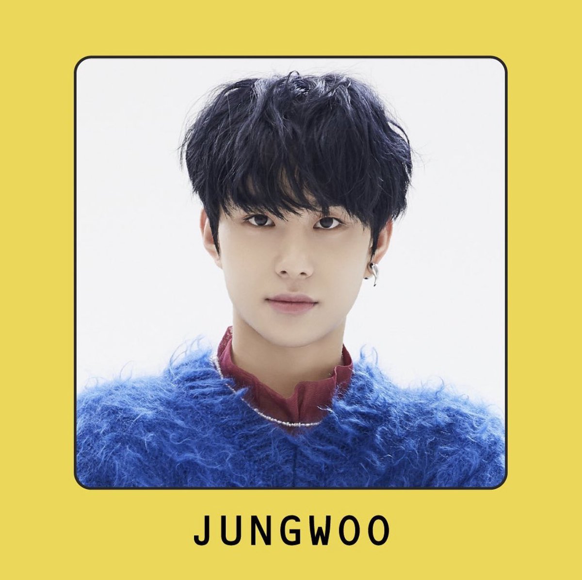 jungwoo (정우)full name: kim jungwoo (김정우)birthday: feb. 19, 1998 (pisces)birthplace: sanbon-dong, gunpo, south koreaposition: lead vocalist, lead dancerheight: 180 cm (5’11”)trainee since: 2014 (4 years)units: nct u, nct 127stans: kangaji