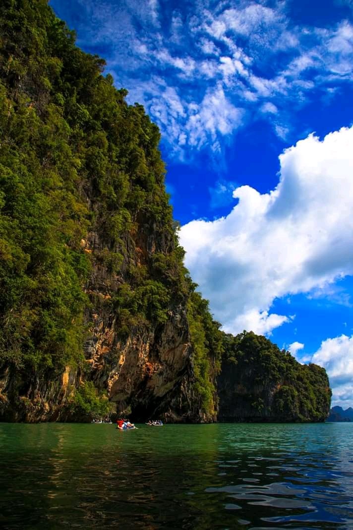 Reineguerrieree's tweet image. The frondescence spreads her wings,
The mind stays in the shadow of a convoluted clutter,
I search for such a day in my eyes,
For those of you who aspire for the throne,
Live downlight and love,
Look at the blue vista,
You will learn the new language of the soul.