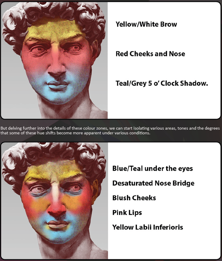 Art Tip: Take note of the subtle underlying colors in the face. It does makes a large difference once you put those subtle shades on. 😲✨

#ArtistOnTwitter