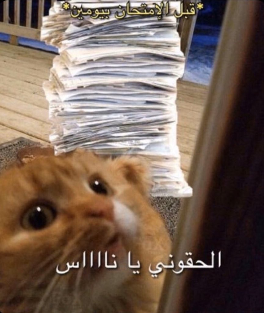 كلنا الفترة ذي :