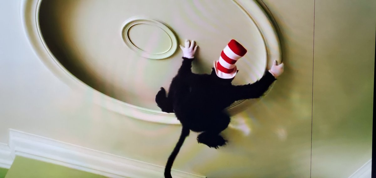 ZaGorudan's tweet photo. If I heard scuttling in the middle of the night and saw this on my ceiling I would fucking scream. https://t.co/PfusttzGVg
