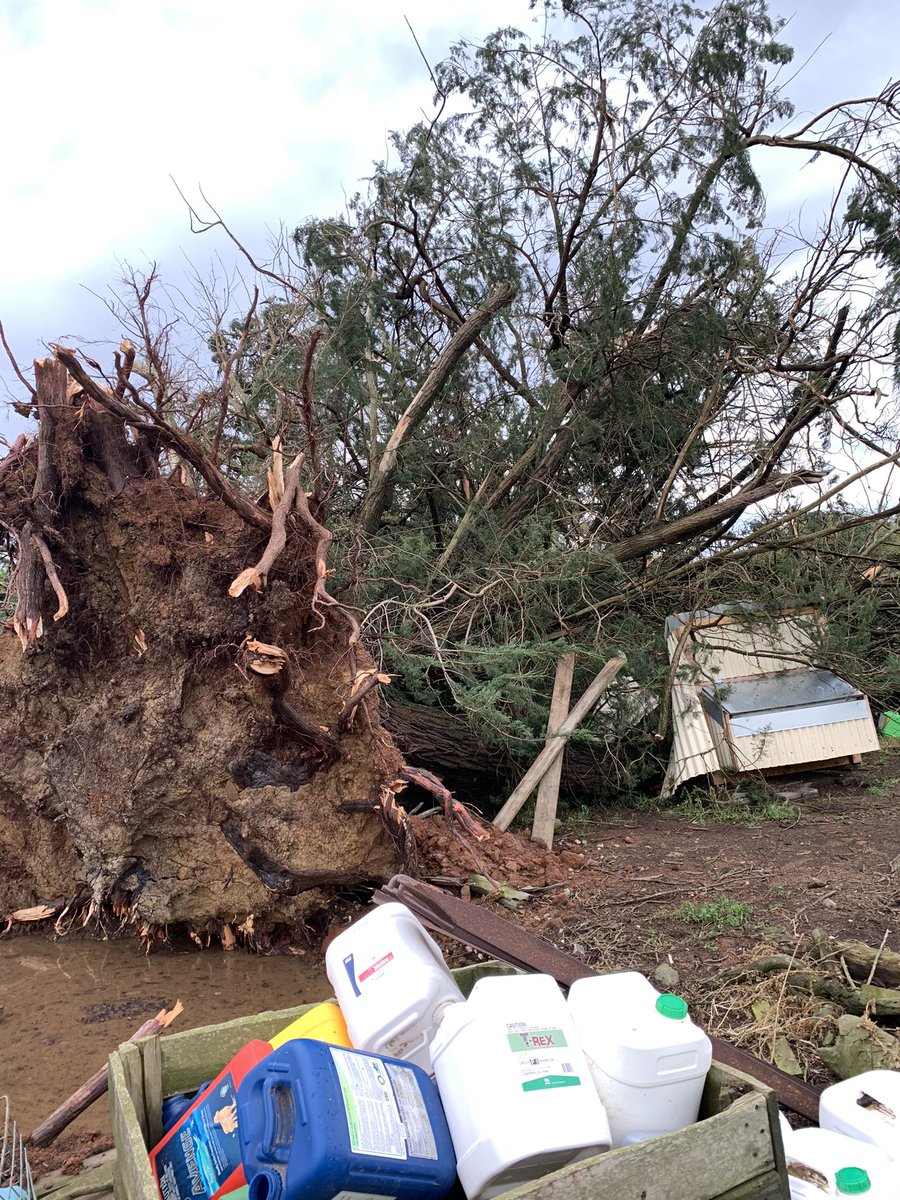 What a year 2020. Mother Nature at it again. One hell of a storm. Even got the new chook house!!!