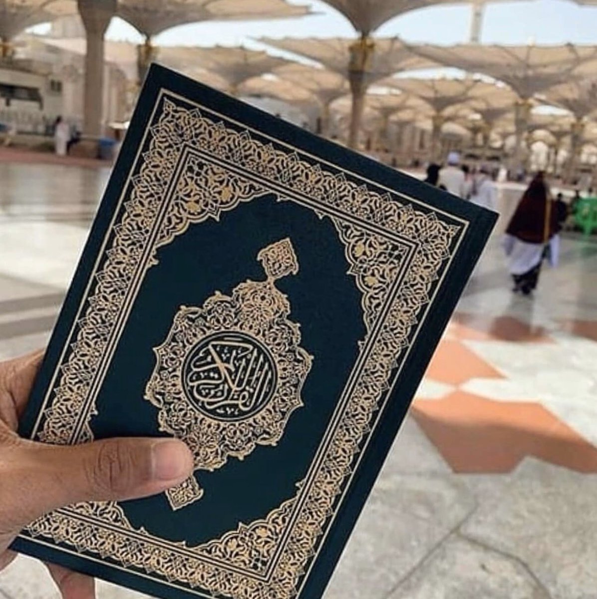 How many re tweets for this
Holy Book 🕋🕌
   ماشاالله ✨