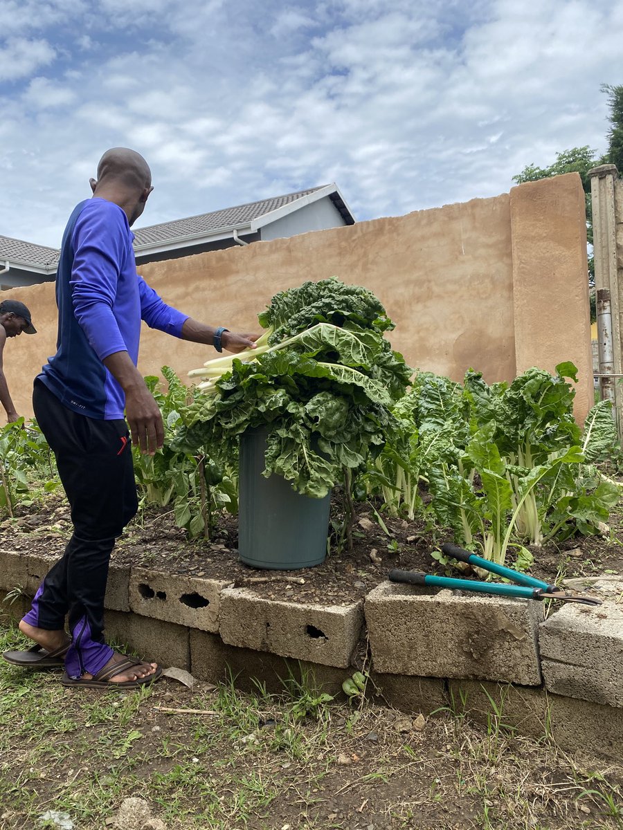 Mthandeni Nene tweet media