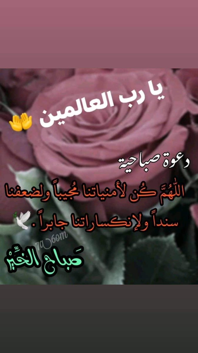 om Lubna (@ecb0keius39olay) on Twitter photo 