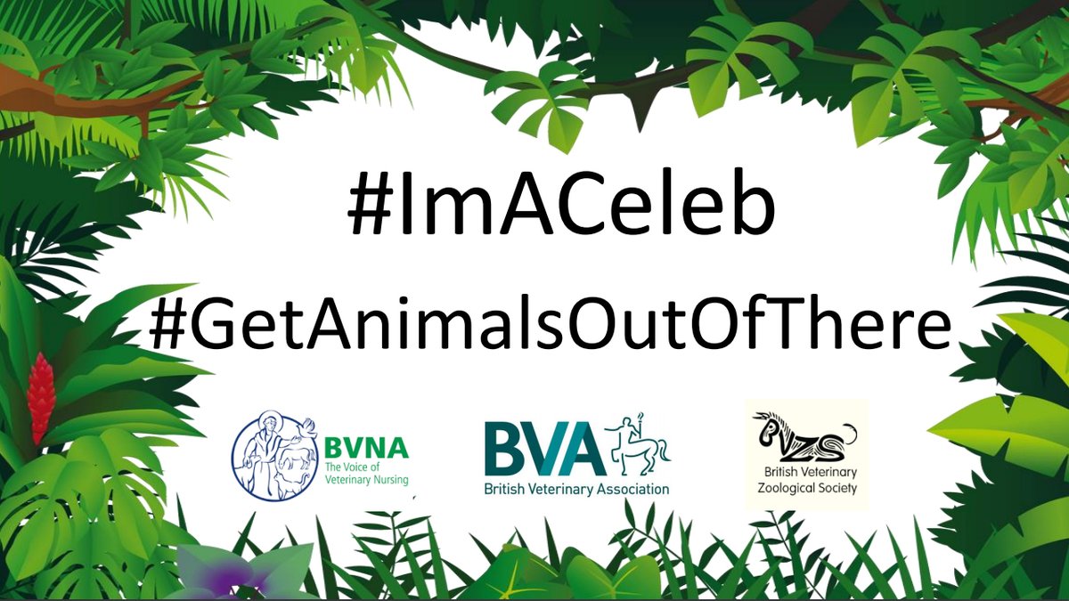 BritishVets tweet media