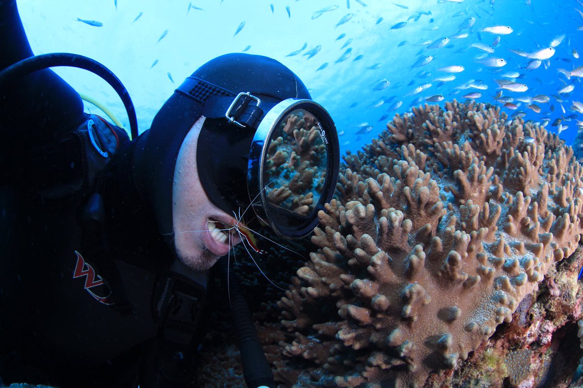 MatobaIsland's tweet photo. AMAMI island Kagoshima Japan.

奄美大島に来ております。
エビに口をクリーニングされ、嬉しくて自撮りしました。
天気、透明度に恵まれ、生まれて初めて見る生き物やモルディブ同様の群れにも出会い、
日本の南国に魅せられました。
年が明けてから↓
https://t.co/HkbiSL7qaD https://t.co/j5YcrEIl6l