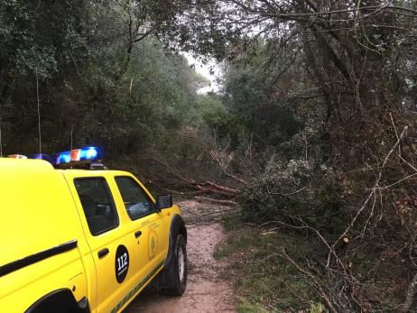 diba's tweet photo. ❌🔥🌳Ahir vam lliurar els #PremisADF2020 per primera vegada de forma virtual. Si et vas perdre la gala, recorda que pots tornar-la a veure avui, a les 22.30 hores, per les televisions de la XAL #som311 #ODSDiba
✅https://t.co/wRoFEdrZDC https://t.co/NlRCDwuPfs