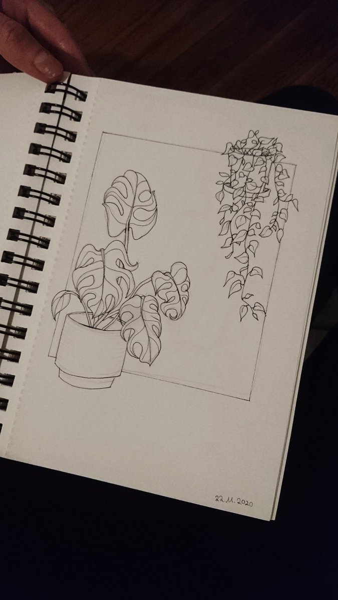 planties from last night! 🌱 the urge to buy proper pencils and pens is rising 