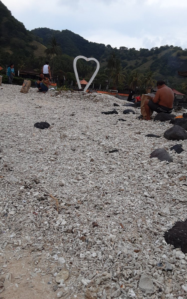 Bali Base - MENFESS? DM tweet media