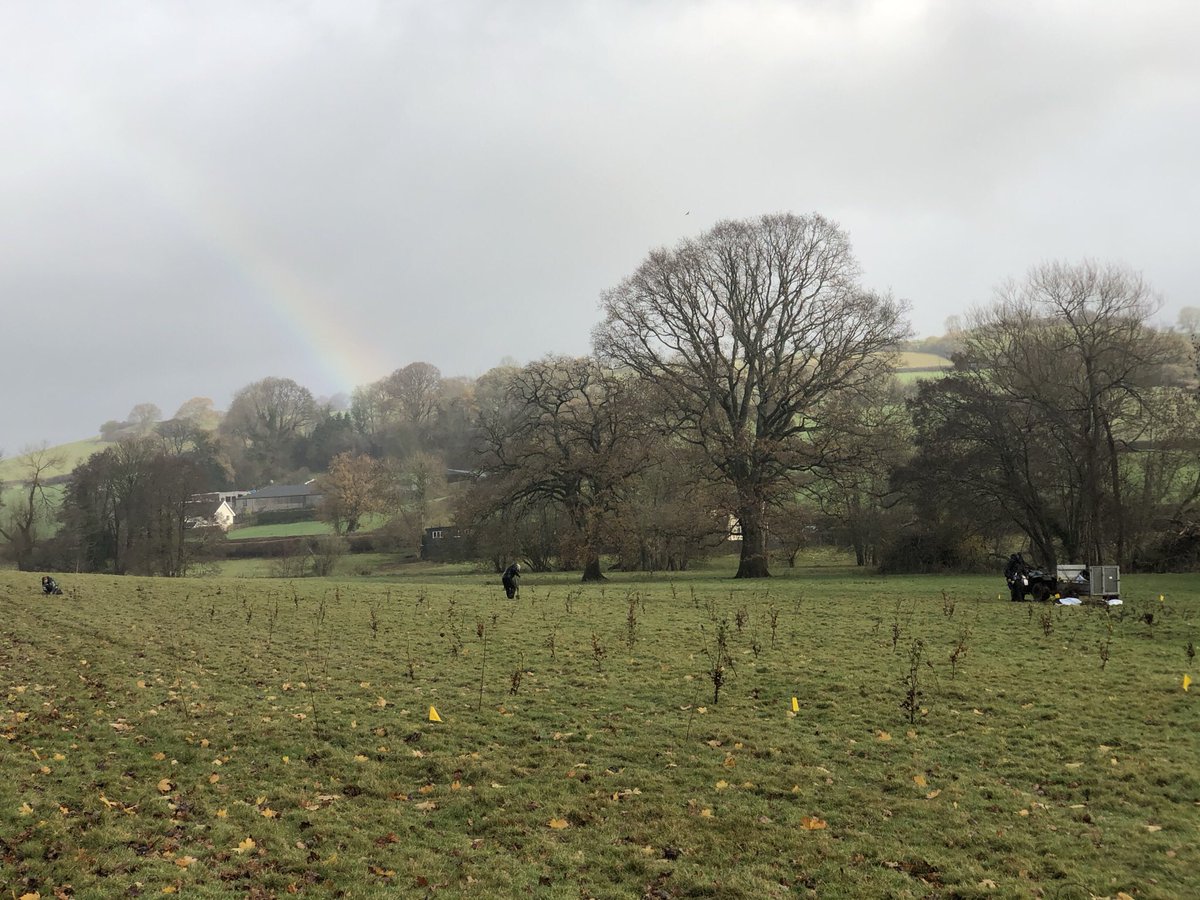 It’s another beautiful morning in the #BreconBeacons  Perfect start to day 6 of our tree planting scheme.