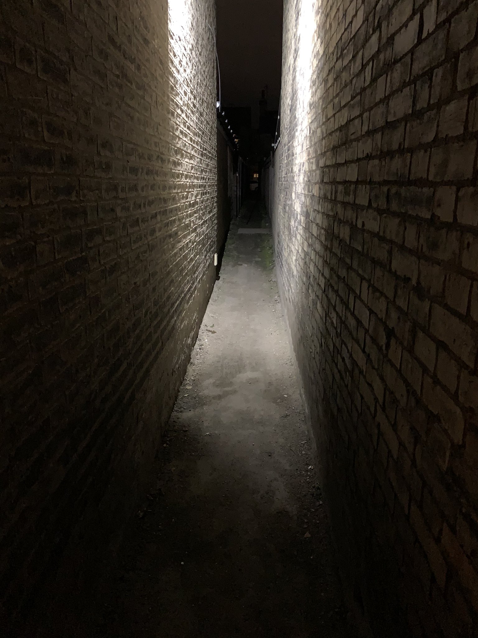 Alleyway Philosophy Open Lifespan