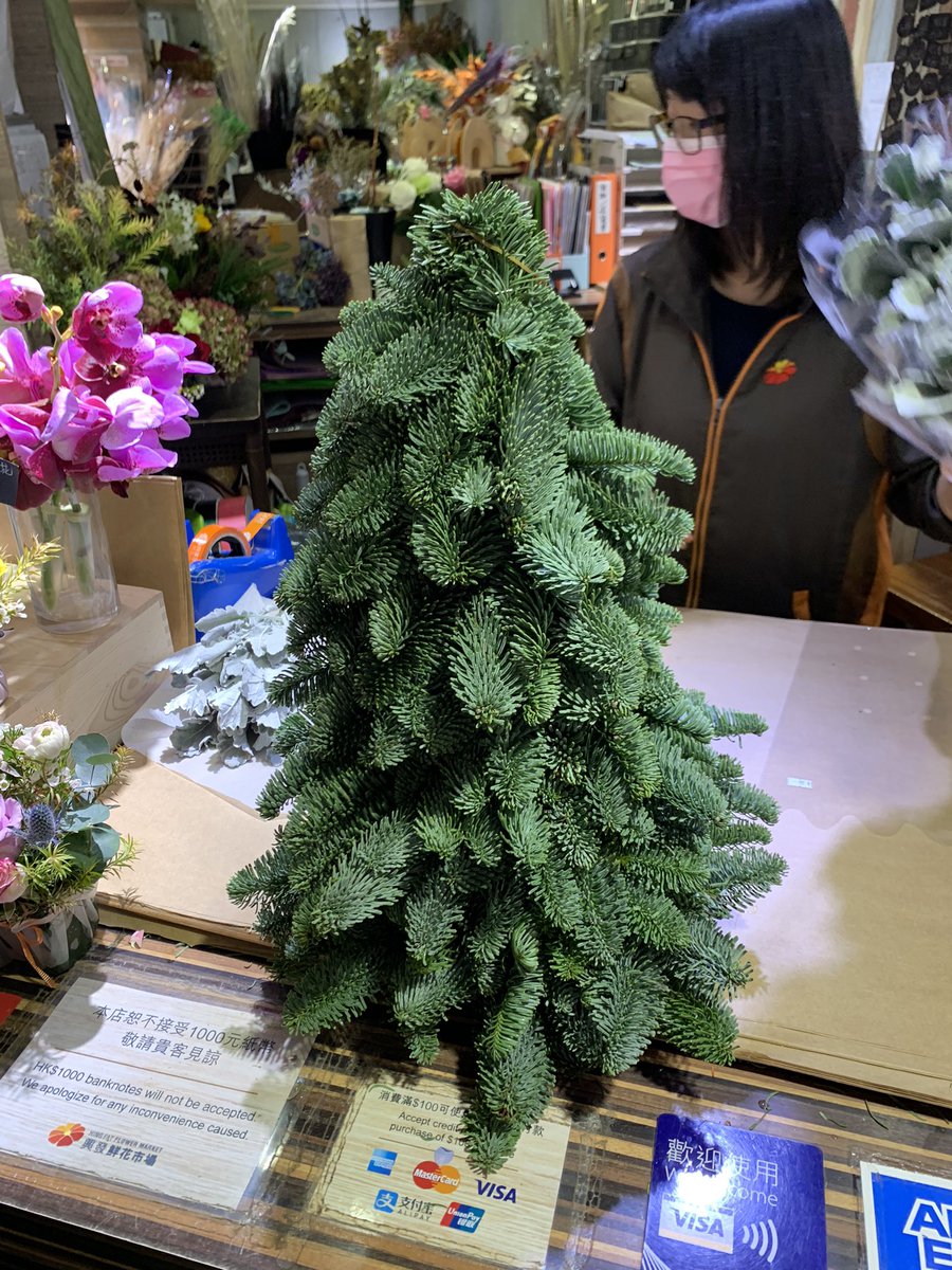 ByJoshYe's tweet photo. Hong Kong’s flower market is getting festive. Got a 50cm mini Xmas tree 🌲. https://t.co/SCJHKWya0h