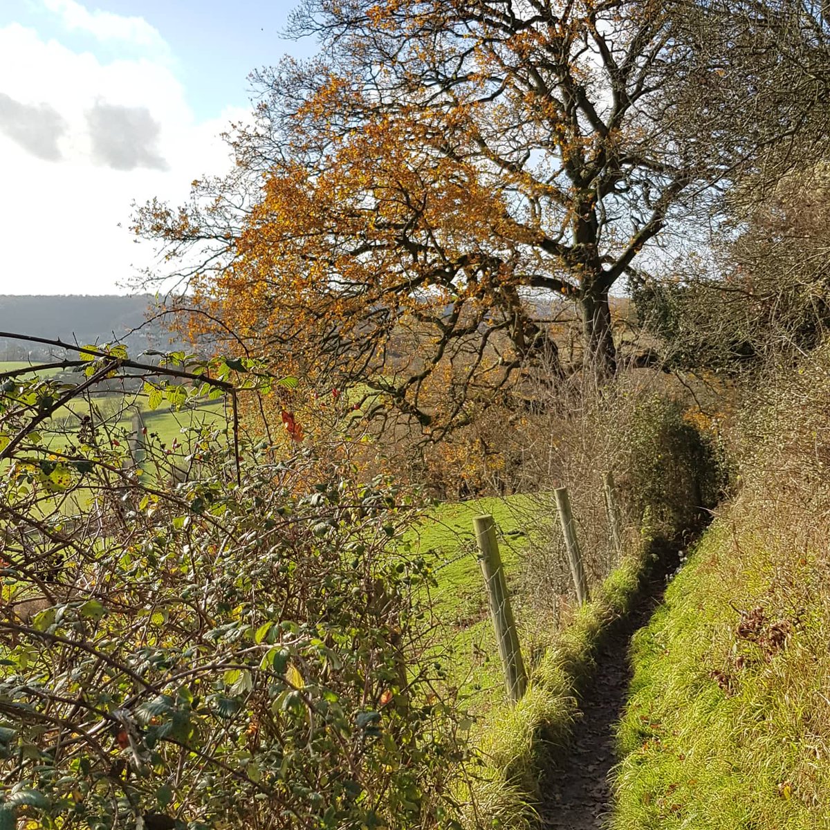 PaulClaireaux's tweet photo. #Sundayramble https://t.co/YctqzpdK1W