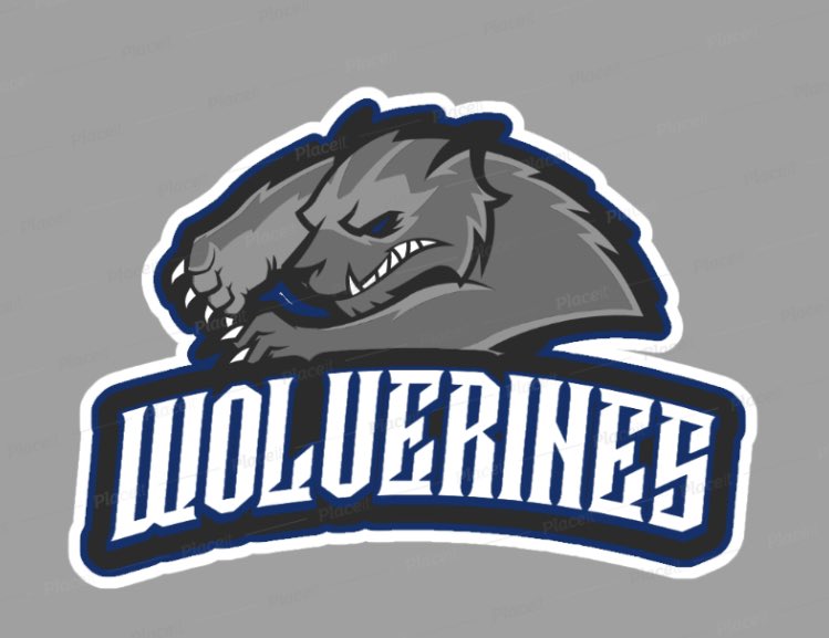 StephKHudson's tweet photo. 🗣🗣There’s a new Wolverine in town for girls &amp; boys basketball teams...Looking to put together a girls/boys basketball team where we develop and promote player growth...truly grassroots basketball..come check us out #WolverinesBasketball #womanfounded #Maryland #Allaboutthekids https://t.co/dGnro9IrTS