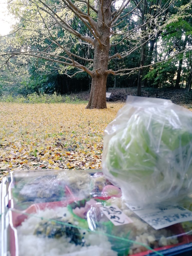 アーガイム tweet media