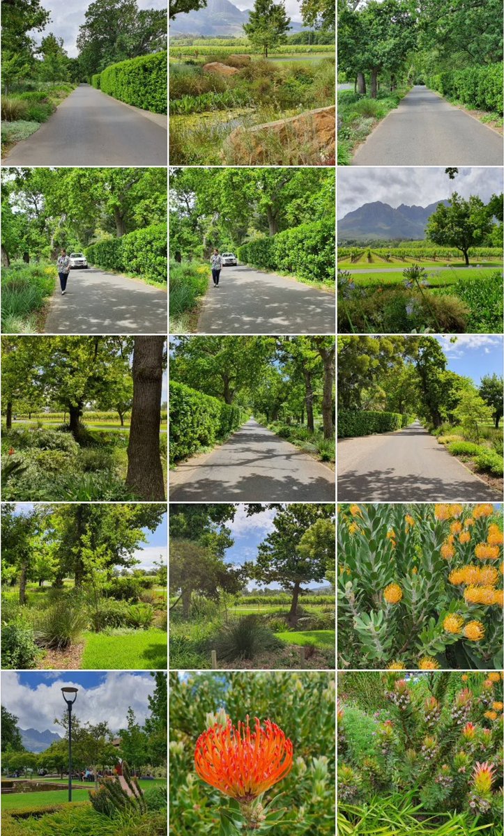 #AtThisMoment #OnThisDay at <a href="/Lourensford/">Lourensford Wine</a> Lourensford farm market. Really amazing destination in Somerset West, Helderberg area, Western Cape, South Africa. 
maps.app.goo.gl/iuEdNwVE8JSNL5…