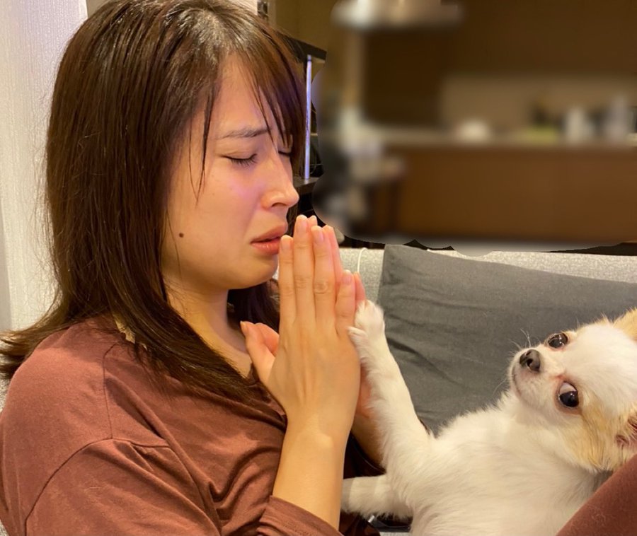 広瀬アリス 25 オタク過ぎる姿が引くほどヤバいと話題に 秒刊sunday