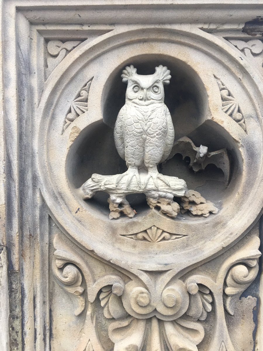 auntytem's tweet photo. @RogerClark41 @CentralParkNYC Happened upon this fella yesterday @CentralParkNYC by #BethesdaTerrace #MidPark @ 72nd https://t.co/KnjUA0ud18