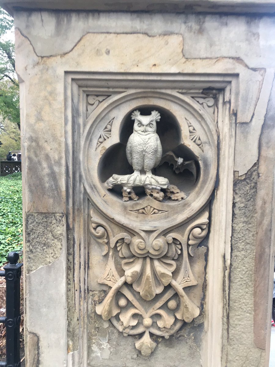 auntytem's tweet photo. @RogerClark41 @CentralParkNYC Happened upon this fella yesterday @CentralParkNYC by #BethesdaTerrace #MidPark @ 72nd https://t.co/KnjUA0ud18