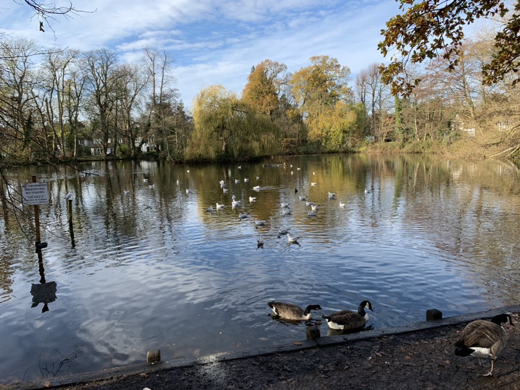 BobBlackman's tweet photo. Beautiful view over the lake at #CanonsDrive https://t.co/m9we5HjVr8