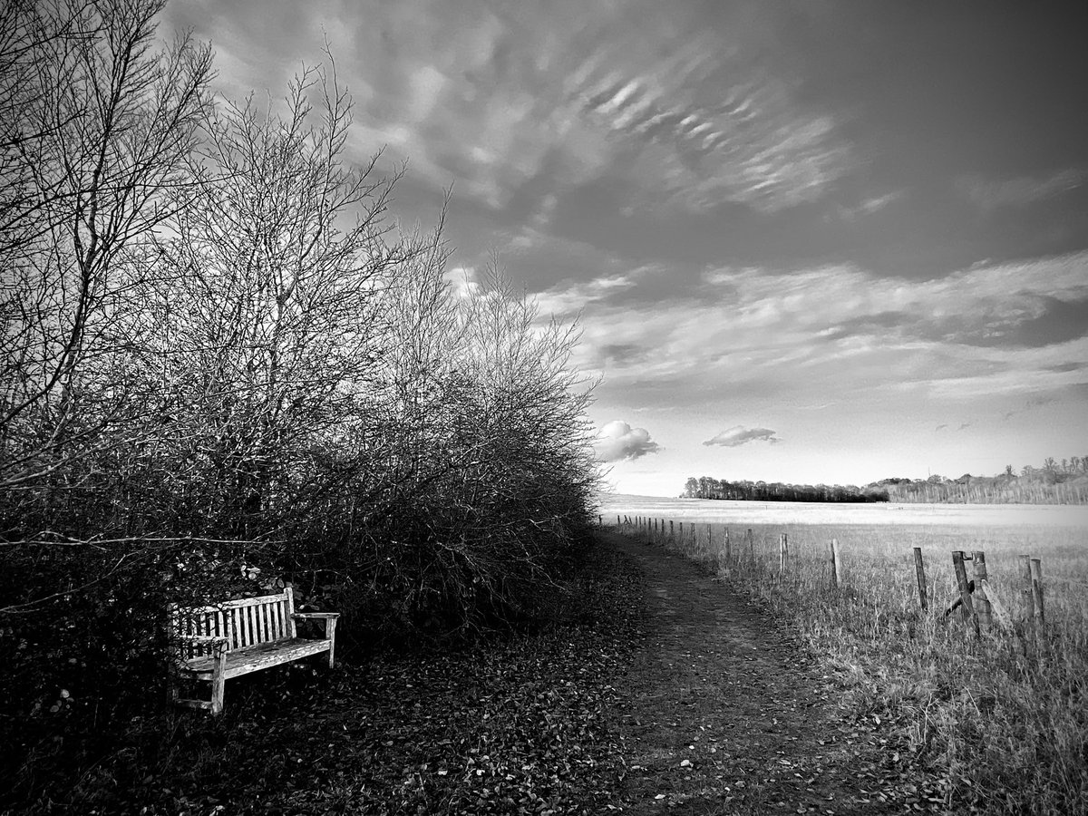 AngelGurriaQ's tweet photo. #Sunday #ThisIsCambridge #GogMagog #Cambridge #blackandwhitephoto https://t.co/6Any9rzgan