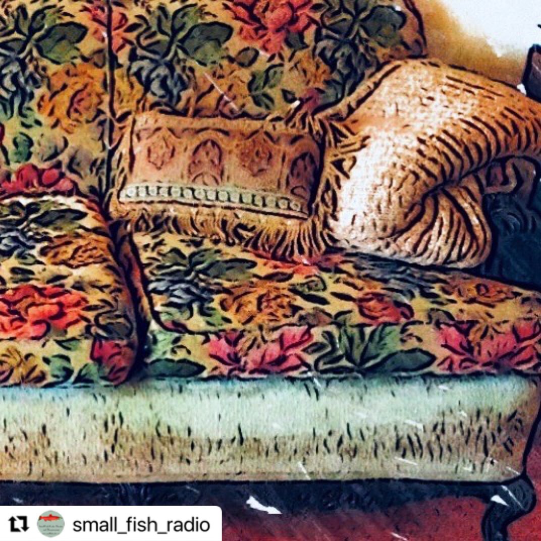 Small Fish Radio tweet media