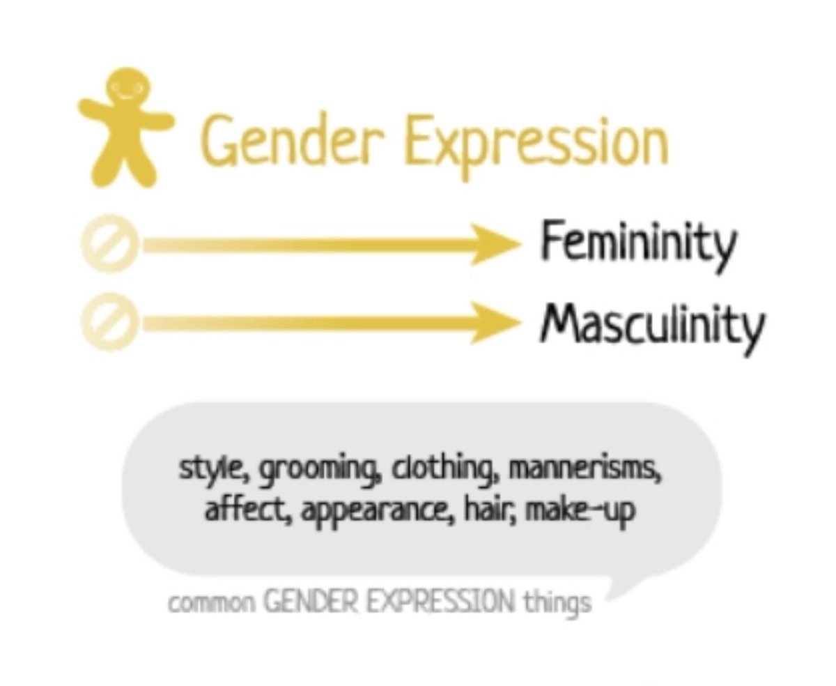76.Gender expression is how you express yourself in relation to the REGRESSIVE STEREOTYPES that society attributes to males and females.How insane is it that we are now telling little boys who are more effeminate, that they are actual girls? @AHousefather  @HonAhmedHussen