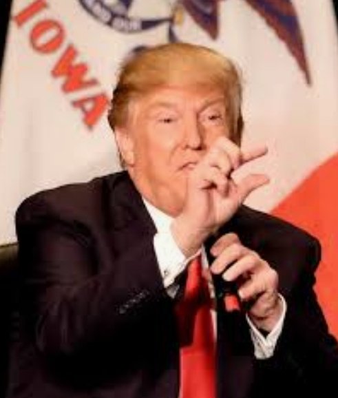 JBzenchild's tweet image. #TrumpMicroPenis
#TrumpIsTheVirus