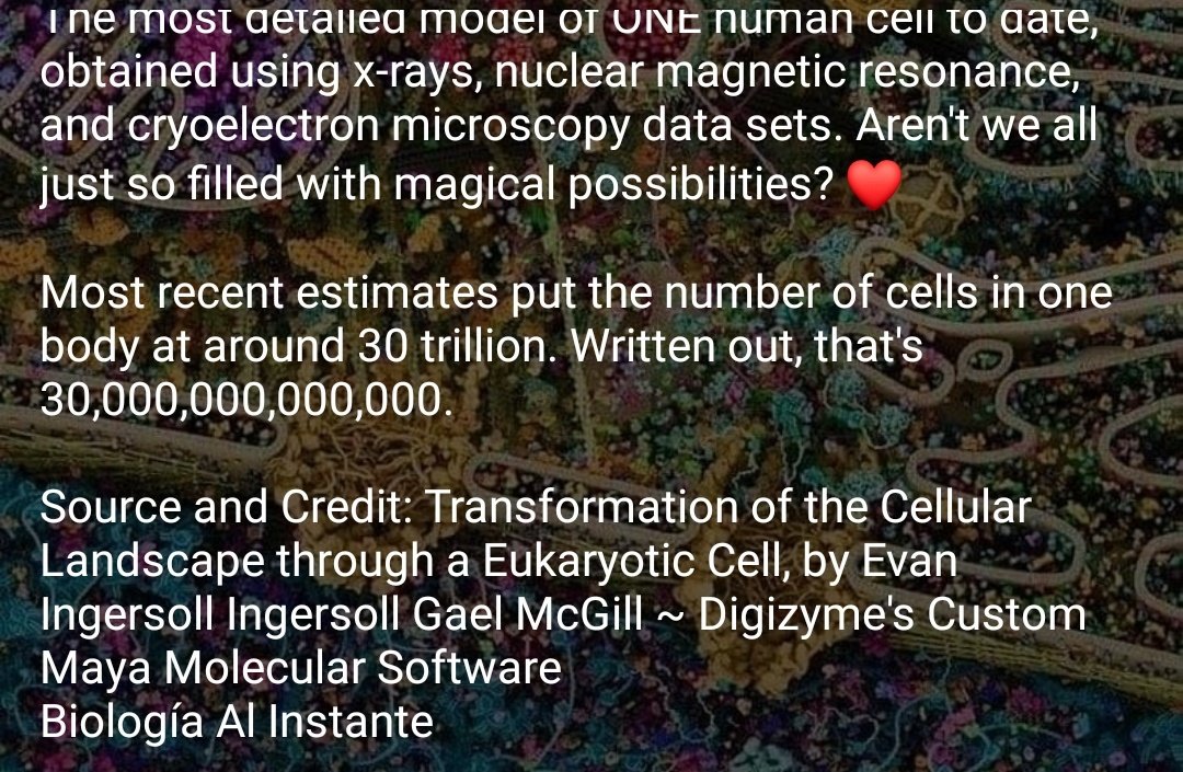 The most detailed model of a human cell! Amazing work!