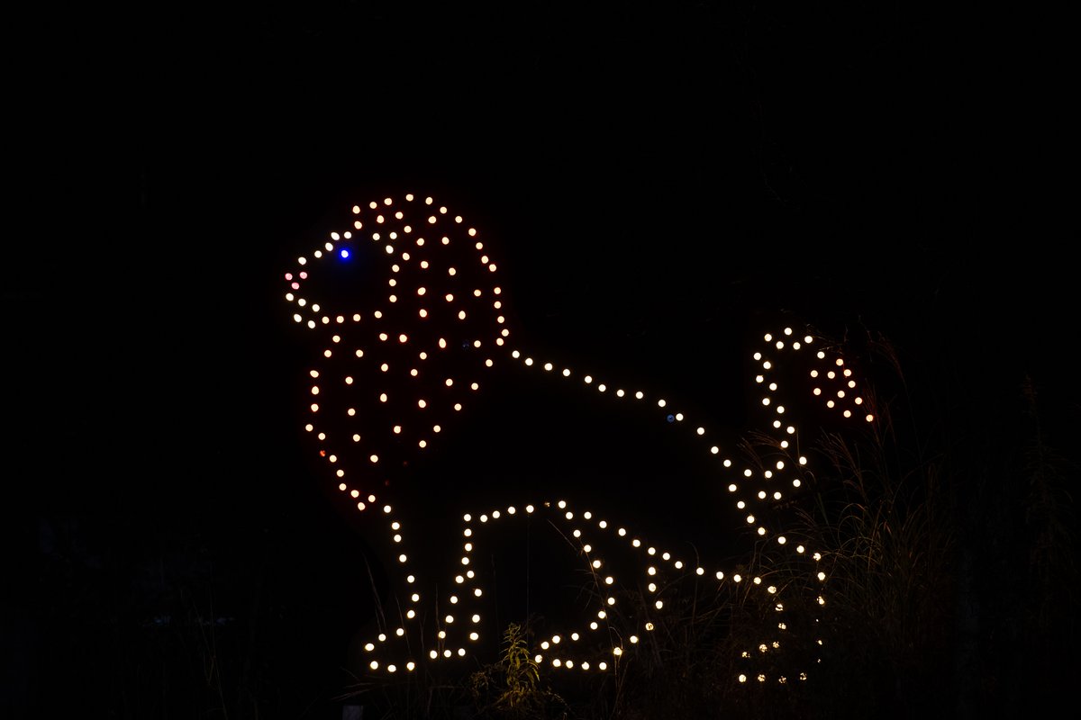 akronohiomoms's tweet photo. Pack your family in the car &amp; drive through a winter wonderland of lights at @pghzoo this winter holiday! Limited tickets are available Nov. 27 – Jan. 3 &amp; must be purchased in advance. Check it out: https://t.co/0iXMZ1q0cm #ZooForAll #PghDriveThruZoo #ad https://t.co/ZjJtUwAgkY